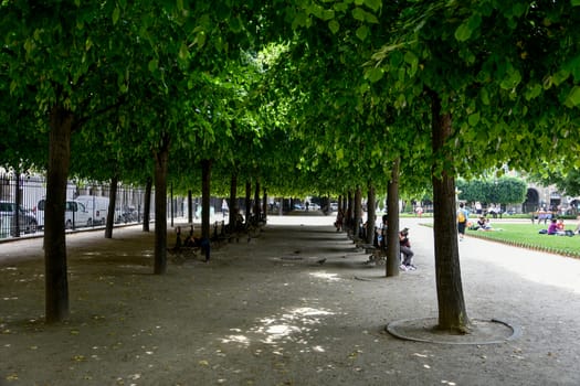 visit of Paris, Seine quay and Eiffel tower, walk in the parks of the capital of France in summer