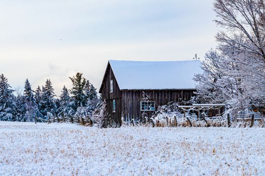 A wooden barn stands at the edge of a field, covered in and surrounded by the snow. The winter landscape around it includes an agricultural field, evergreen trees behind it and some bare trees beside.
