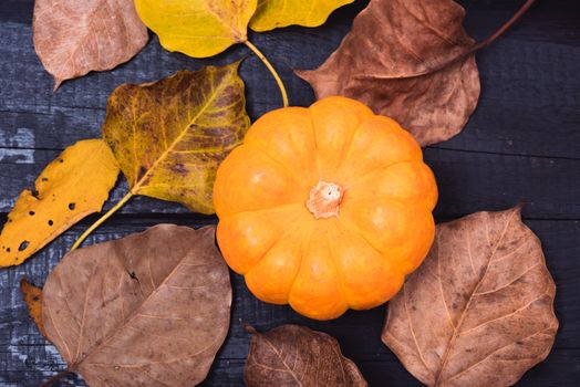 Fall Thanksgiving and Halloween pumpkins and dry leaves on wooden background, top view shot