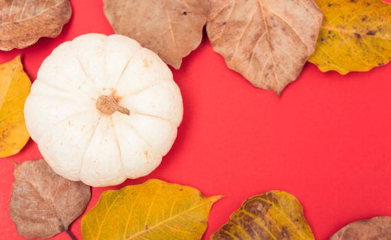 Festive autumn, Halloween and Thanksgiving day pumpkins and leaves on red background with copy space for use