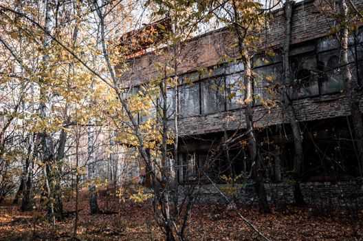 ruins brick house with broken windows and trees in the abandoned city of Chernobyl Ukraine in autumn