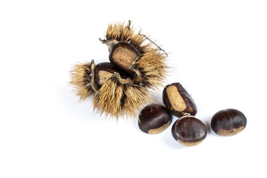 some chestnuts on a white table