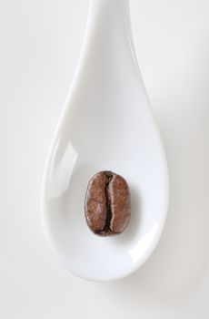 Overhead view of a roasted coffee bean on white porcelain spoon