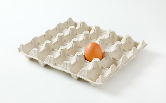 One brown egg left in a twenty dimpled egg tray