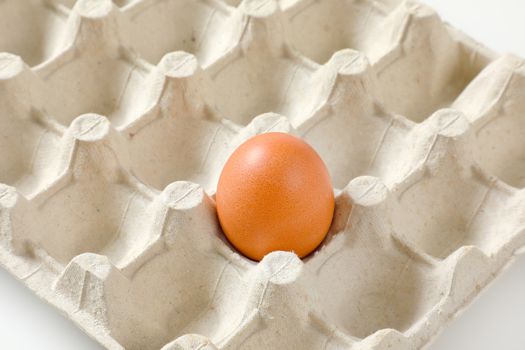 One brown egg left in a twenty dimpled egg tray