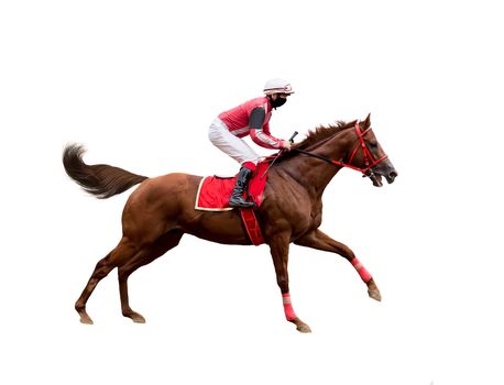 jockey horse racing isolated on white background