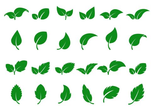 Green leaves logo. Leaf icon set. Herbal eco abstract label. Bio, vegan or pharmacy concept. Simple flat foliage design. Decorative nature silhouette. Fresh mint isolated sign. tree sprout illustration
