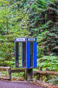 An old fashioned Phone Booth in the Woods