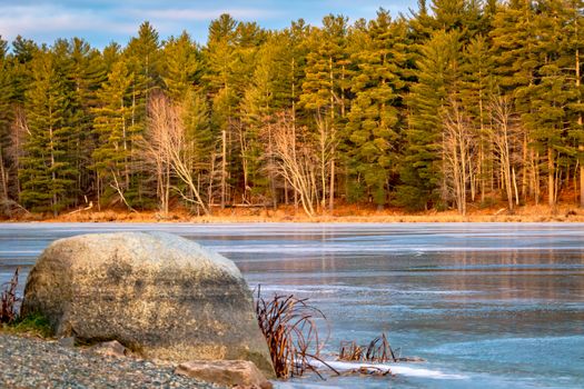 Evergreens and other trees of a mixed forest are golden in the morning light on the far shore of a frozen lake. A large rock and rocky beach are in the foreground, before the hard frozen surface.