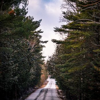 A narrow rural road, covered in winter snow, runs between tall pines and other trees in a mixed forested area.