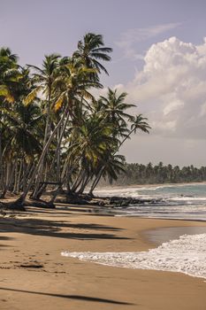 Panorama of the beautiful and natural beach of Playa Limon in the Dominican Republic