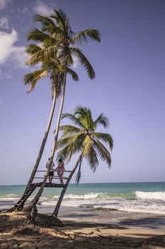 Panorama of the beautiful and natural beach of Playa Limon in the Dominican Republic