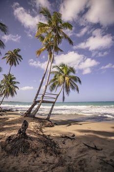 Panorama of the beautiful and natural beach of Playa Limon in the Dominican Republic