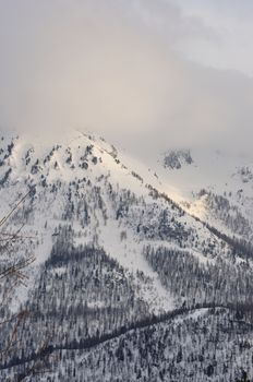 walk in the station of Montgenevre taken by the cold, the snow and the frost. France