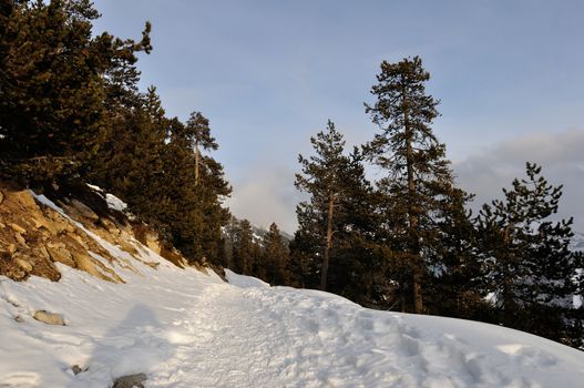 walk in the station of Montgenevre taken by the cold, the snow and the frost. France