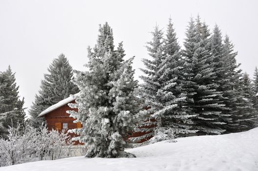 walk in the station of Montgenevre taken by the cold, the snow and the frost. France