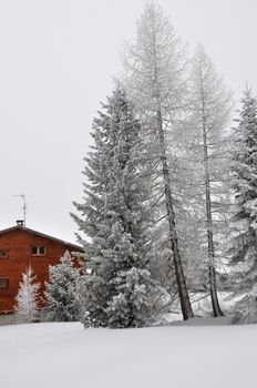 walk in the station of Montgenevre taken by the cold, the snow and the frost. France