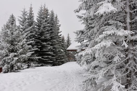 walk in the station of Montgenevre taken by the cold, the snow and the frost. France