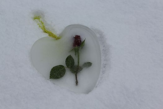 The picture shows an ice heart with a rose in the snow