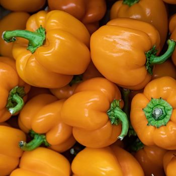 An abstract image of orange bright sweet peppers lying in the grocery store. View from above.