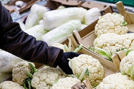 cauliflower group in detail as a background from a market, new harvest, organic vegetables