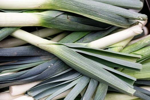 The green leeks are shot close-up. Vegetable department in the grocery store. Healthy food rich in vitamins and minerals