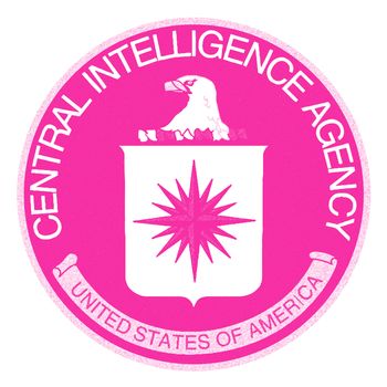 Logo of The Central Intelligence Agency of the United States of America in pink background