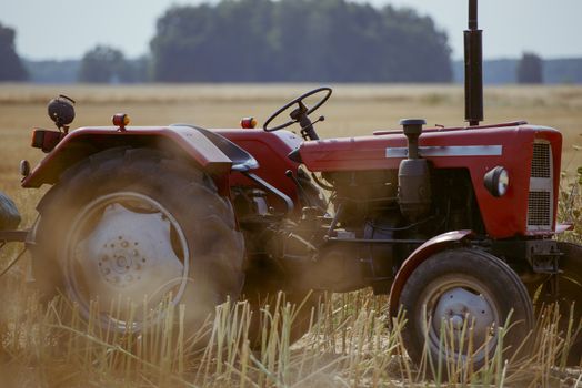 small tractor with trailer full of wheat grain