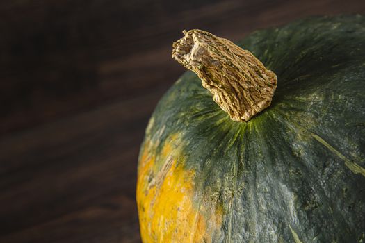 close up of the top of a kabocha squash against a dark background