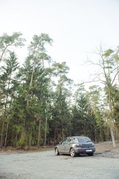 Gray hatchback car parked next to the wood