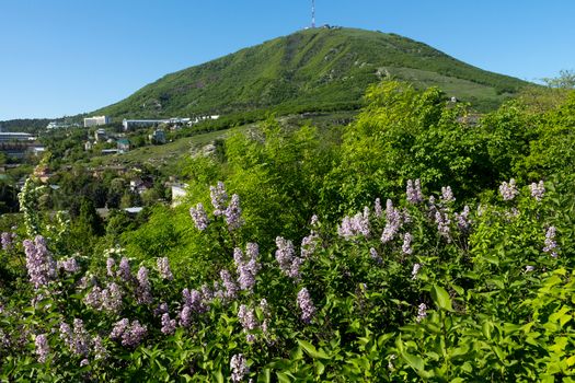 View of the majestic Mount Mashuk from Pyatigorsk ,Northern Caucasus,Russia.