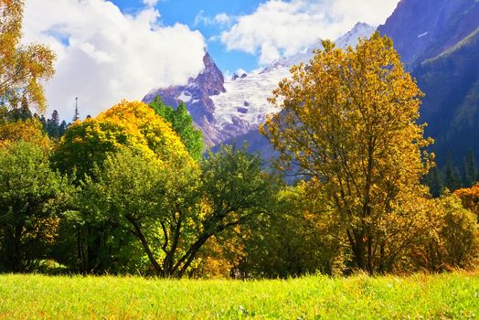 Gold autumn in Dombai,Western Caucasus,Russia.