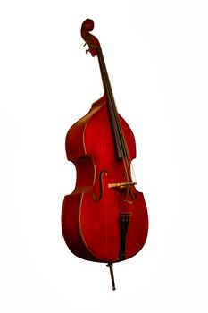 wooden double bass on white background with stand and strings