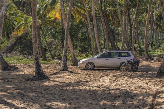 PLAYA LIMON, DOMINICAN REPUBLIC 28 DECEMBER 2019: Palm tree and car