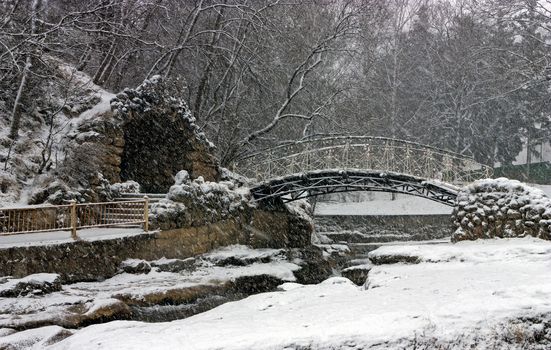 Snow-covered trees in the winter park of resort Kislovodsk