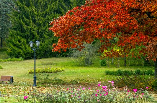 Resort park - ornament and pride of Kislovodsk,Northern Caucasus.