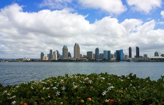 San Diego Skyline from Coronado Island,California.