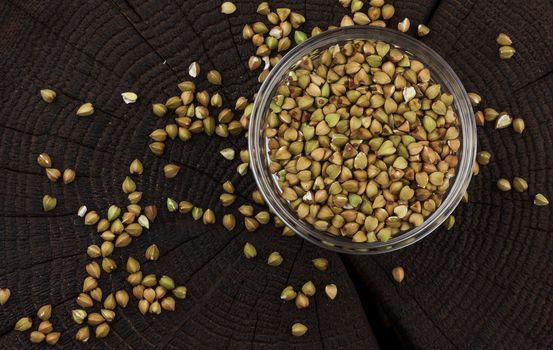 Bowl of green buckwheat grains on black wooden background, top view