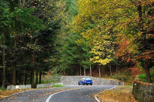 Car in the forest at Transfagarasan mountain road, Romania