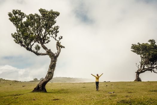 Traveller woman feeling the power of the nature at an ancient forest