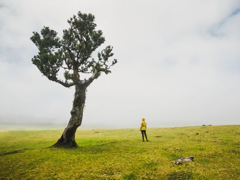 Traveller woman feeling the power of the nature at an ancient forest