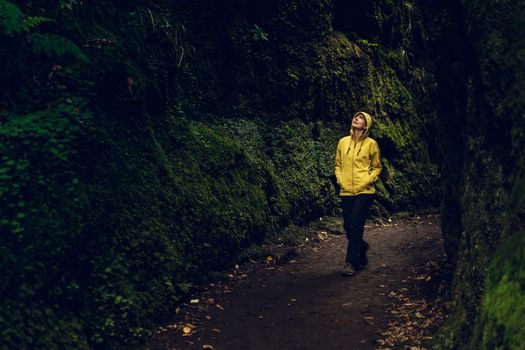 Female traveler making a trek in the midle of a forest