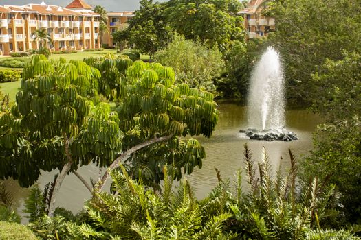 Dominican luxury garden in a luxury hotel in Bayahibe