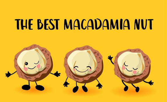 Macadamia nut character. Greeting card or logo yellow bright background. Useful and fresh food. Vegetarianism and vegans