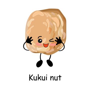 nutmeg character. Useful vegan food. Nuts are good