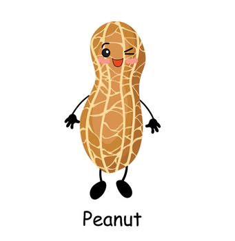 cartoon nuts illustration isolated on white background. Kawaii peanut