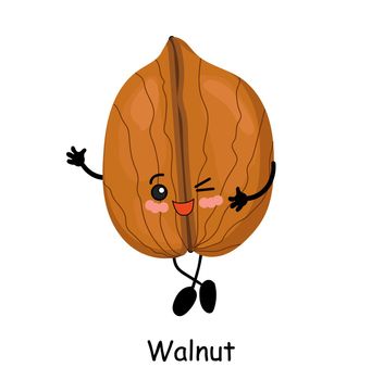 Walnut. illustration. Walnut character isolated on white background.