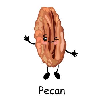 Pecan nut. illustration. Cute CUTE Walnut character Isolated on a white background.