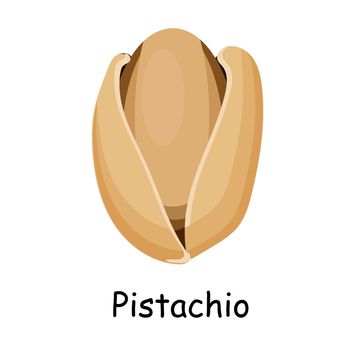 Pistachio. illustration isolated on white background. Useful vegan food. Nuts are good