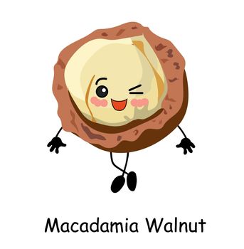 Cute macadamia nut cartoon. illustration isolated on white background.